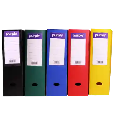 BOITE DE CLASSEMENT ESSENTIAL D80 - PURPLE