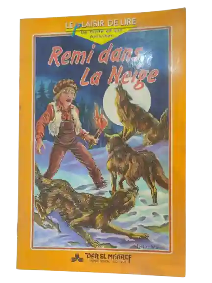 REMI DANS LA NEIGE