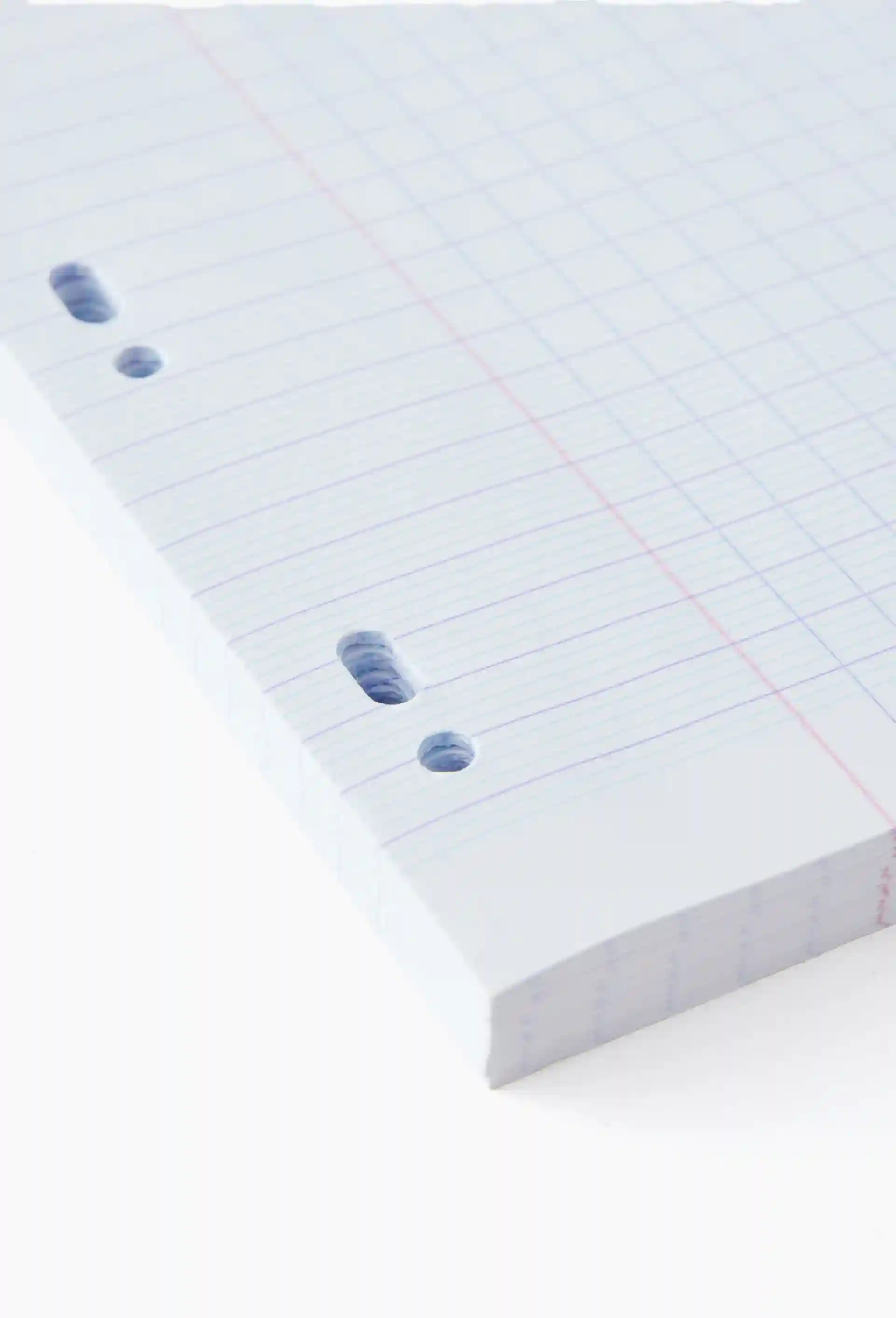 Pochette de feuilles de classeur - PETIT