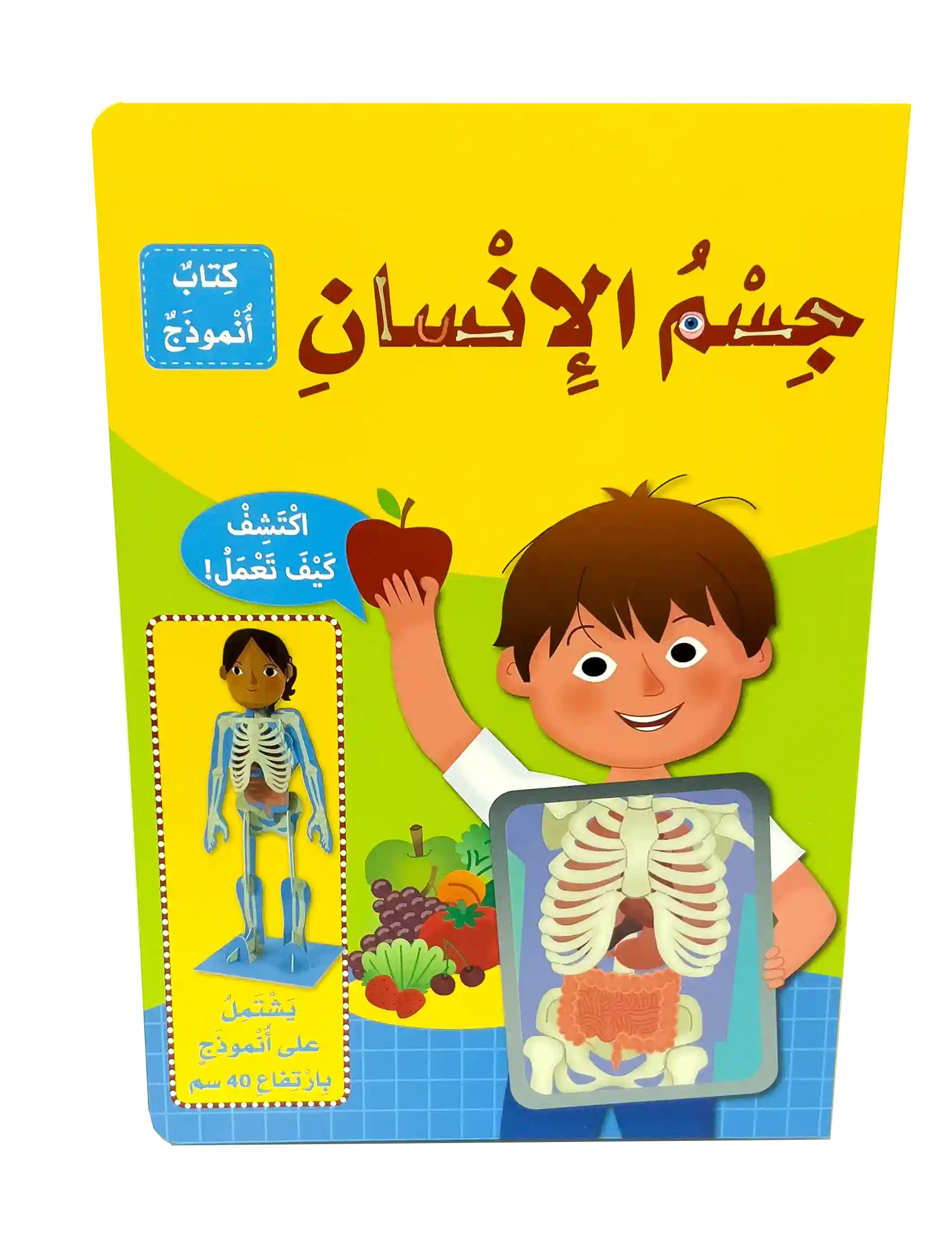 جسم الانسان كتاب انموذج