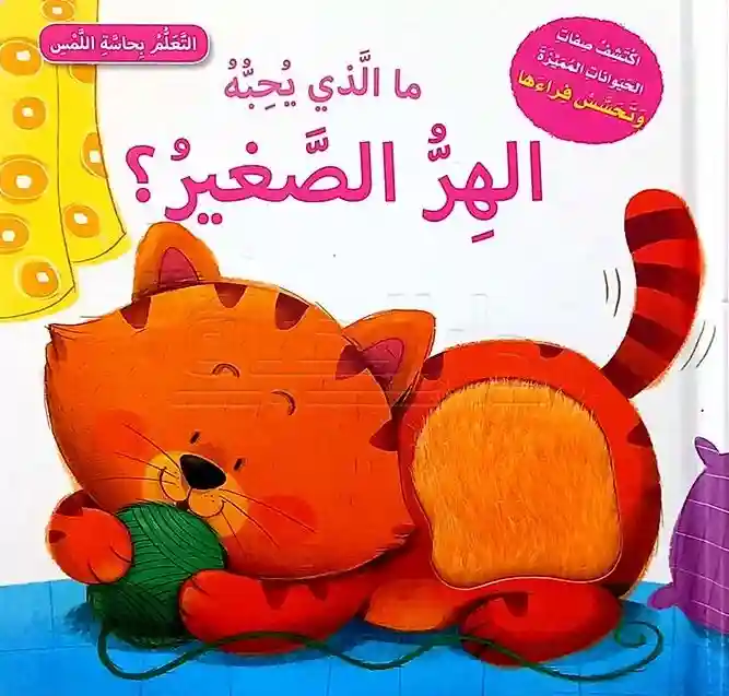 ما الذي يحبه الهر الصغير
