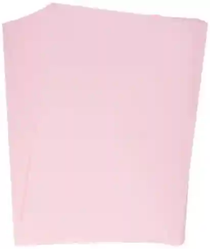 PAPIER CANSON VILALUXE ROSE PASTEL
