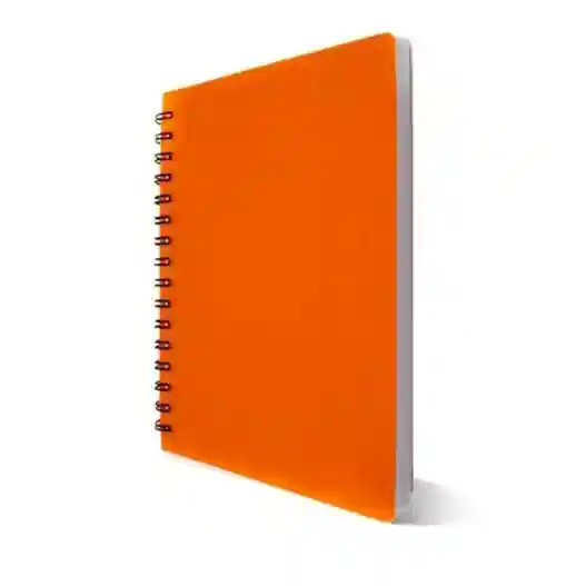 CAHIER WIRO 400P ALADIN GF 60G