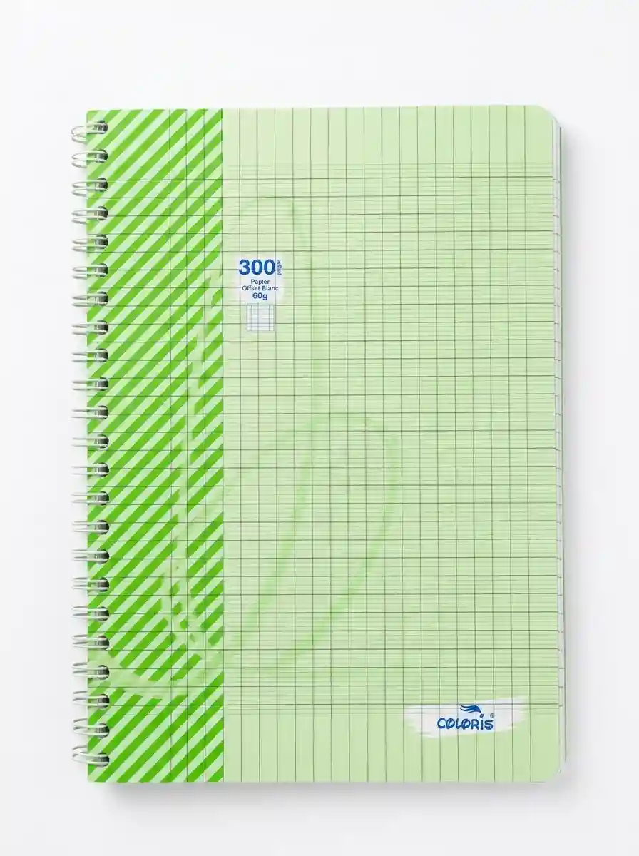 CAHIER 400P 60G COLORIS