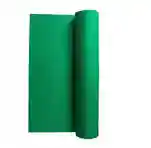 PAPIER CANSON VERT